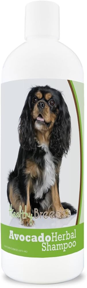 szampon dla cavalier king charles spaniel opinie