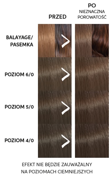 odżywka do włosów loreal allegro