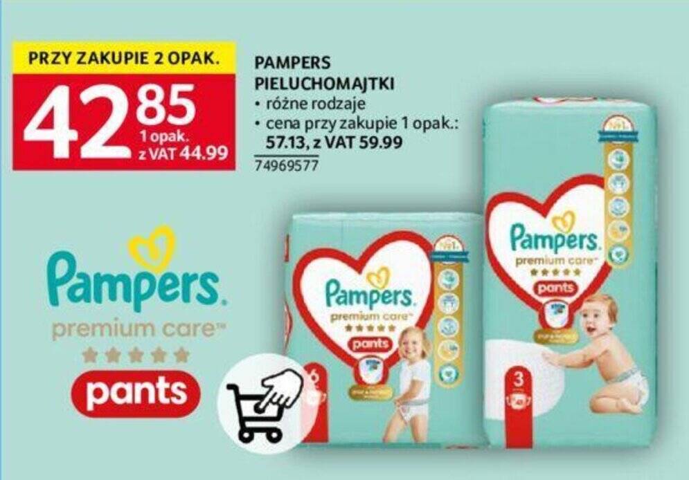 pampers oferty pracy