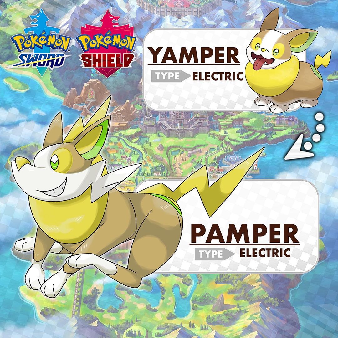 pamper pokemon